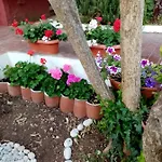 Apartamento Lapad *