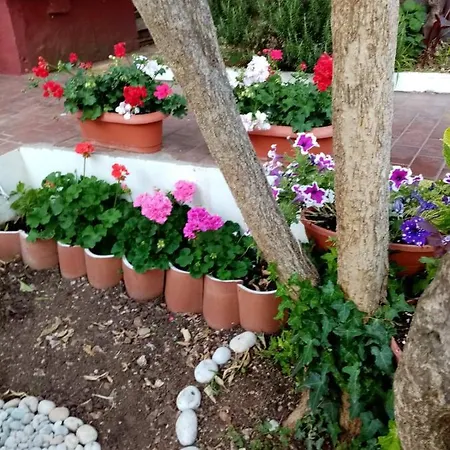 Apartman Lapad *