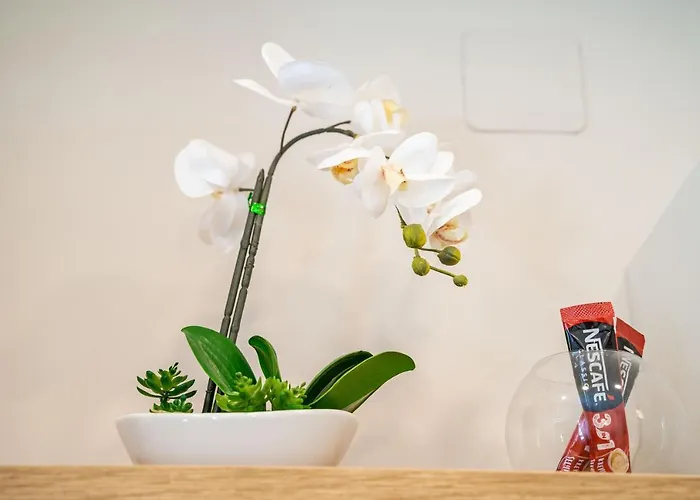 Lapad Apartmán Dubrovník