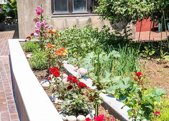 Lapad * 두브로브니크