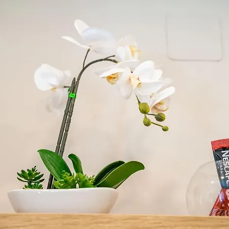 Lapad Apartment Dubrovnik